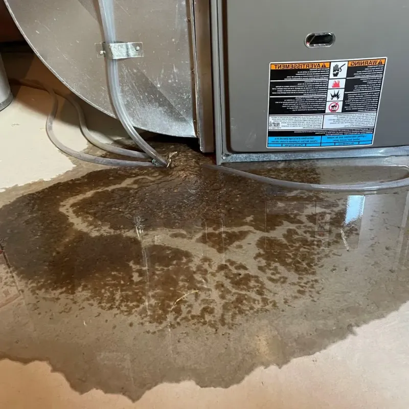 Pipe Burst and Leak Restoration in South Valley, NM